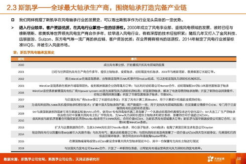 風(fēng)電軸承行業(yè)深度研究 市場潛力、海外對標與業(yè)務(wù)延展性探索