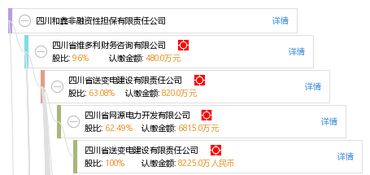 四川和鑫非融資性擔(dān)保有限責(zé)任公司 專注非融資性擔(dān)保業(yè)務(wù)，助力企業(yè)穩(wěn)健發(fā)展